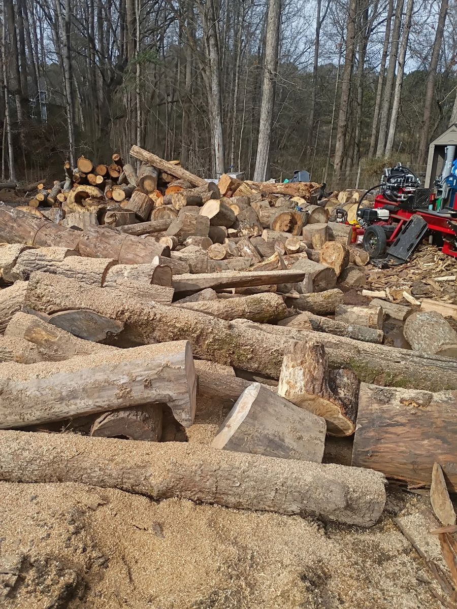 Hardwood logs in the wood yard before splitting